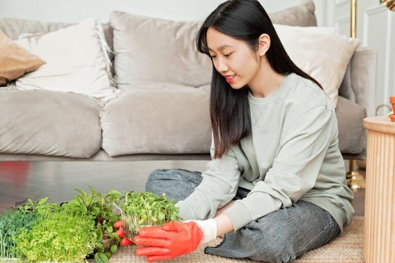 indoor microgreens growing guide