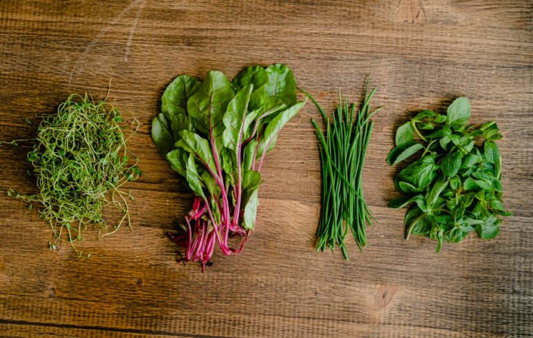 Best microgreens for beginners