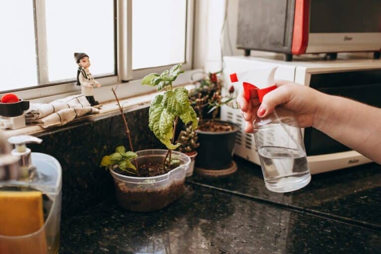 how often water microgreens