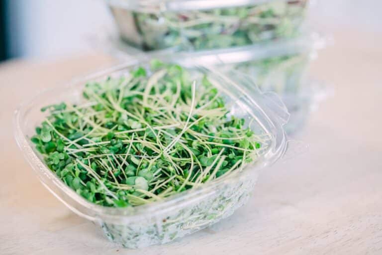 reusable microgreen medium